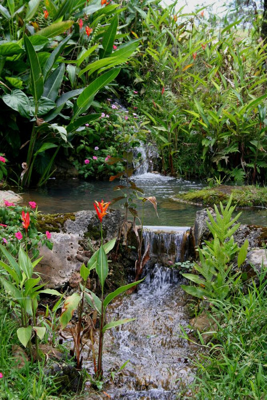 guava plantation waterfalls Wall Mural