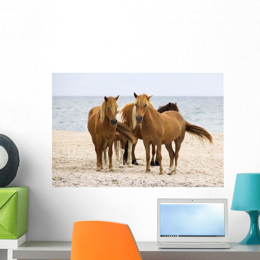 Wild Horses Beach Wall Decal