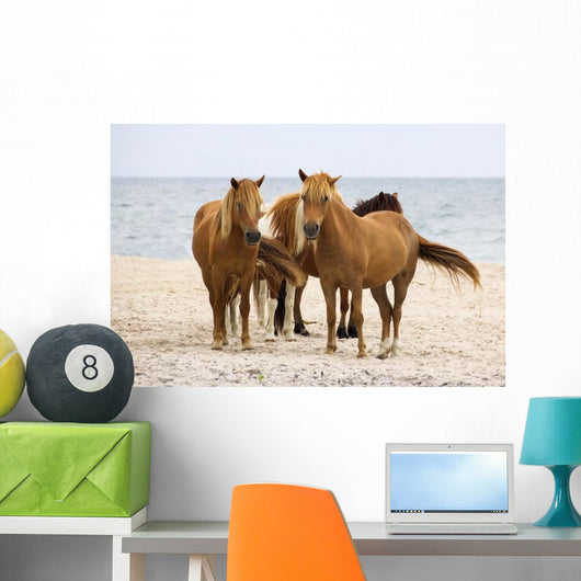 Wild Horses Beach Wall Decal