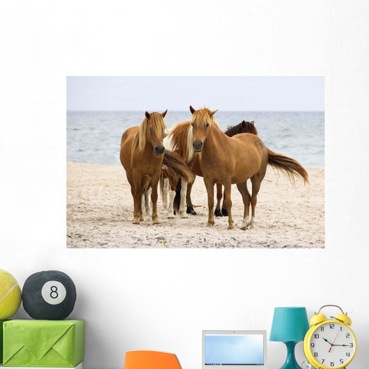 Wild Horses Beach Wall Decal