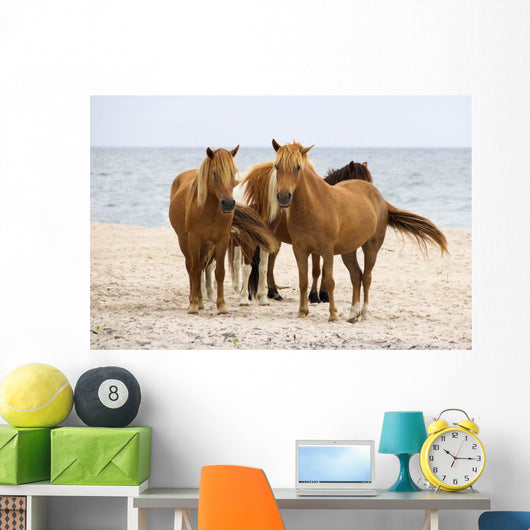 Wild Horses Beach Wall Decal