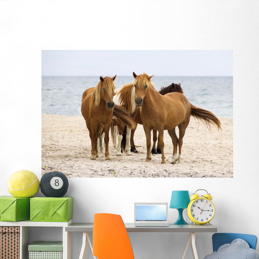 Wild Horses Beach Wall Decal