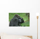 Gorilla Wall Mural