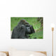 Gorilla Wall Mural