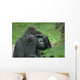 Gorilla Wall Mural
