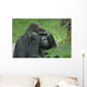Gorilla Wall Mural