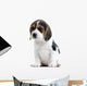 Beagle Puppy Wall Decal