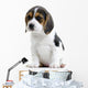 Beagle Puppy Wall Decal