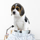 Beagle Puppy Wall Decal