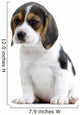 Beagle Puppy Wall Decal