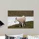 Male Bily Mountain Goat (Oreamnos Americanus) on Hurricane Hill / Ridge snowfield in Olympic National Park in Washington State USA Wall Mural