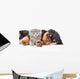 Sleeping rottweiler puppy hugging newborn kitten. Isolated on white Wall Decal