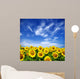 sunflower field Wall Mural
