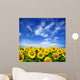 sunflower field Wall Mural
