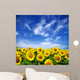 sunflower field Wall Mural