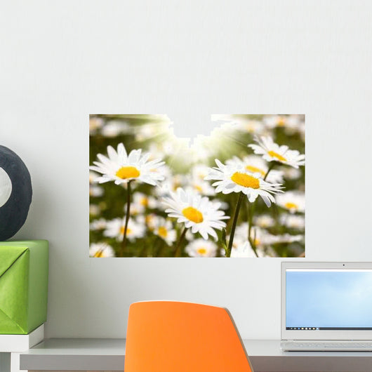 Chamomile Field Wall Decal