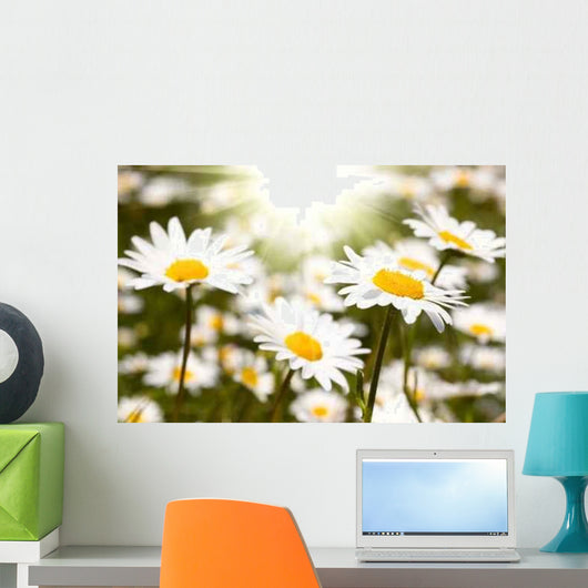 Chamomile Field Wall Decal