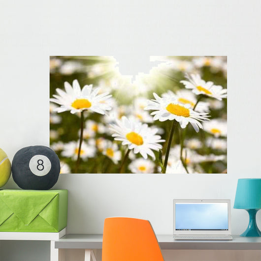 Chamomile Field Wall Decal
