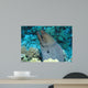 Giant Moray Gymnothorax Javanicus Wall Decal