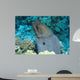 Giant Moray Gymnothorax Javanicus Wall Decal