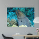 Giant Moray Gymnothorax Javanicus Wall Decal