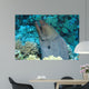 Giant Moray Gymnothorax Javanicus Wall Decal
