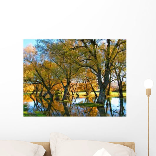 Trees Water Wall Decal