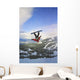Boarder Upside down Air Wall Decal