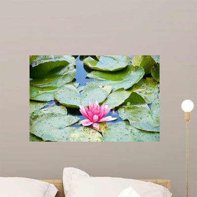 Gardens Claude Monet Giverny Wall Mural shown on a wall
