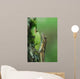 Anole Wall Mural