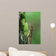Anole Wall Mural