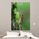 Anole Wall Mural
