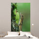 Anole Wall Mural