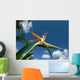 bird of paradise flower Wall Mural