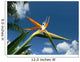 Bird Paradise Flower Wall Decal
