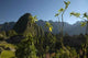 Machugarden Wall Decal