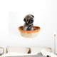 Pug Puppy in Basket Wall Mural