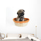 Pug Puppy in Basket Wall Mural