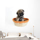 Pug Puppy in Basket Wall Mural