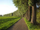 Way to Nowhere Wall Decal