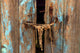 The Door Wall Mural