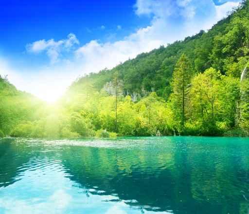 Lake Deep Forest Wall Decal Design 3