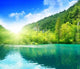 Lake Deep Forest Wall Decal Design 3