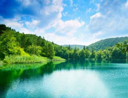 Green Water Lake Forest Wall Decal