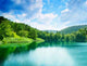 Green Water Lake Forest Wall Decal