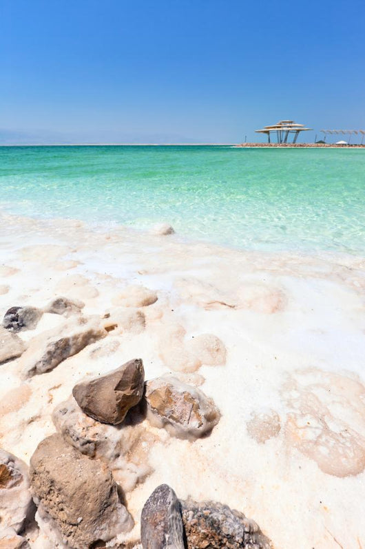 Shore Dead Sea Wall Decal