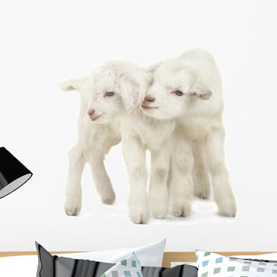 Two Little White Goats Wall Decal shown on a wall