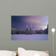 Winter Night Wall Mural