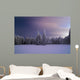 Winter Night Wall Mural