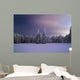 Winter Night Wall Mural